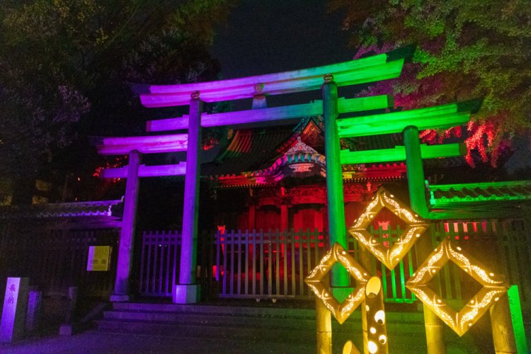 Festival of Lights at Ushijima Shrine