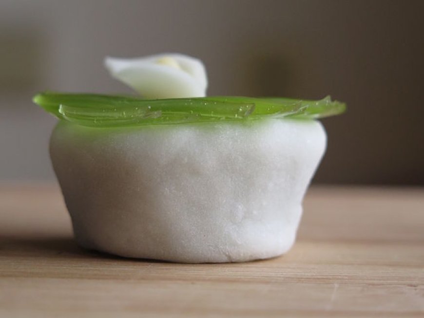 Exquisite Japan through Wagashi Live, study and work in Japan Visit