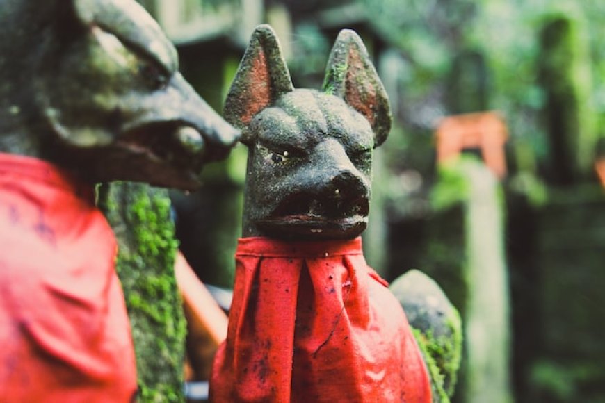 Inari Fox - Sacred Animal in Japan