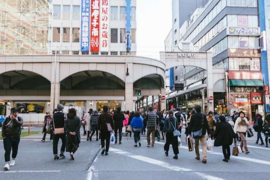 Pedestrian Regulations in Japan