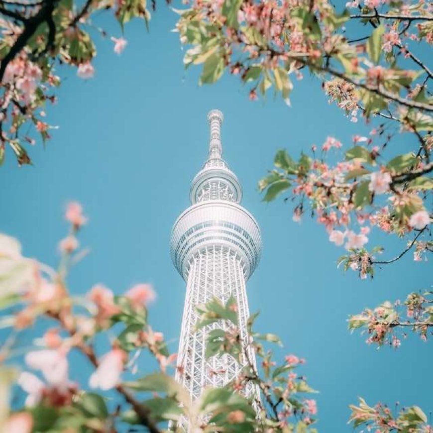 The reason you should visit the skytree tower when you come to Tokyo