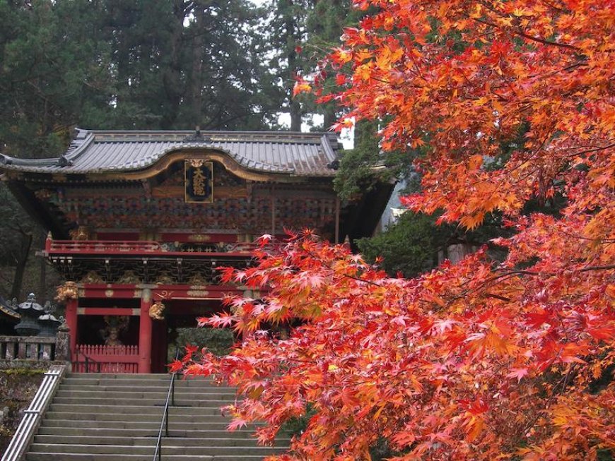 Autumn in Japan