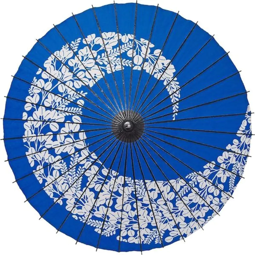 Wagasa Umbrella: Exploring the traditional Japanese
