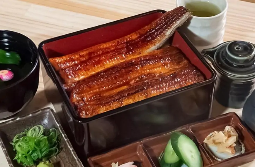 Eel - A Gourmet Delight in Japan